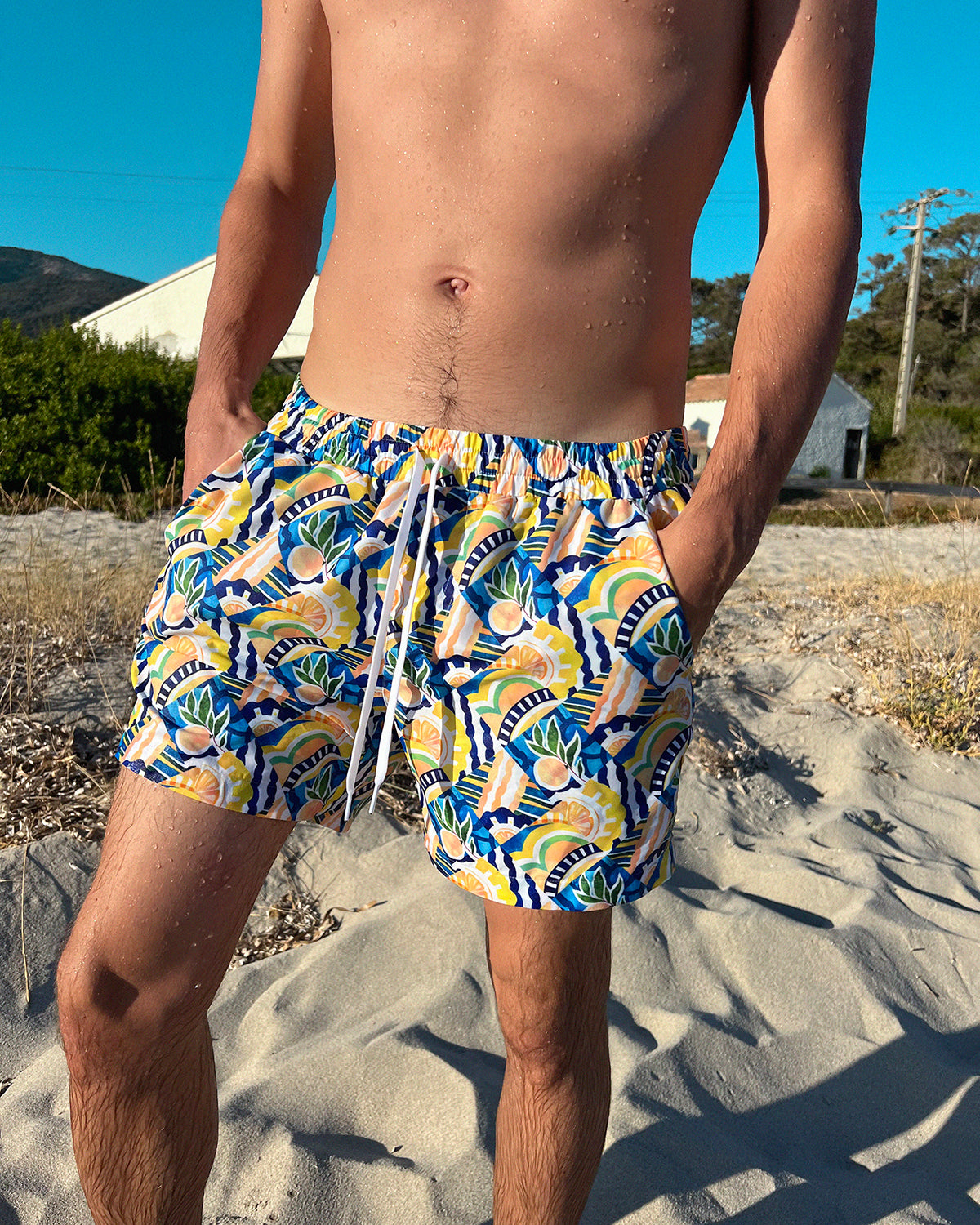 Load image into Gallery viewer, SWELL SWIM SHORTS - Positano
