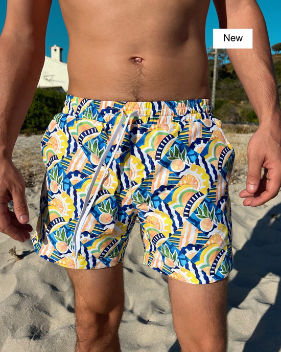 Load image into Gallery viewer, SWELL SWIM SHORTS - Positano
